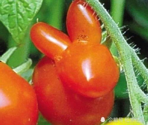 吃瓜娱乐圈大瓜,揭秘明星背后的惊人真相 第2张 吃瓜娱乐圈大瓜,揭秘明星背后的惊人真相 第2张